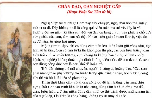 Chân Đạo Oan Nghiệt Gấp